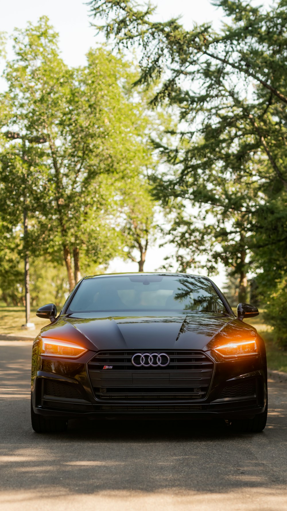 a black car driving down a street next to trees