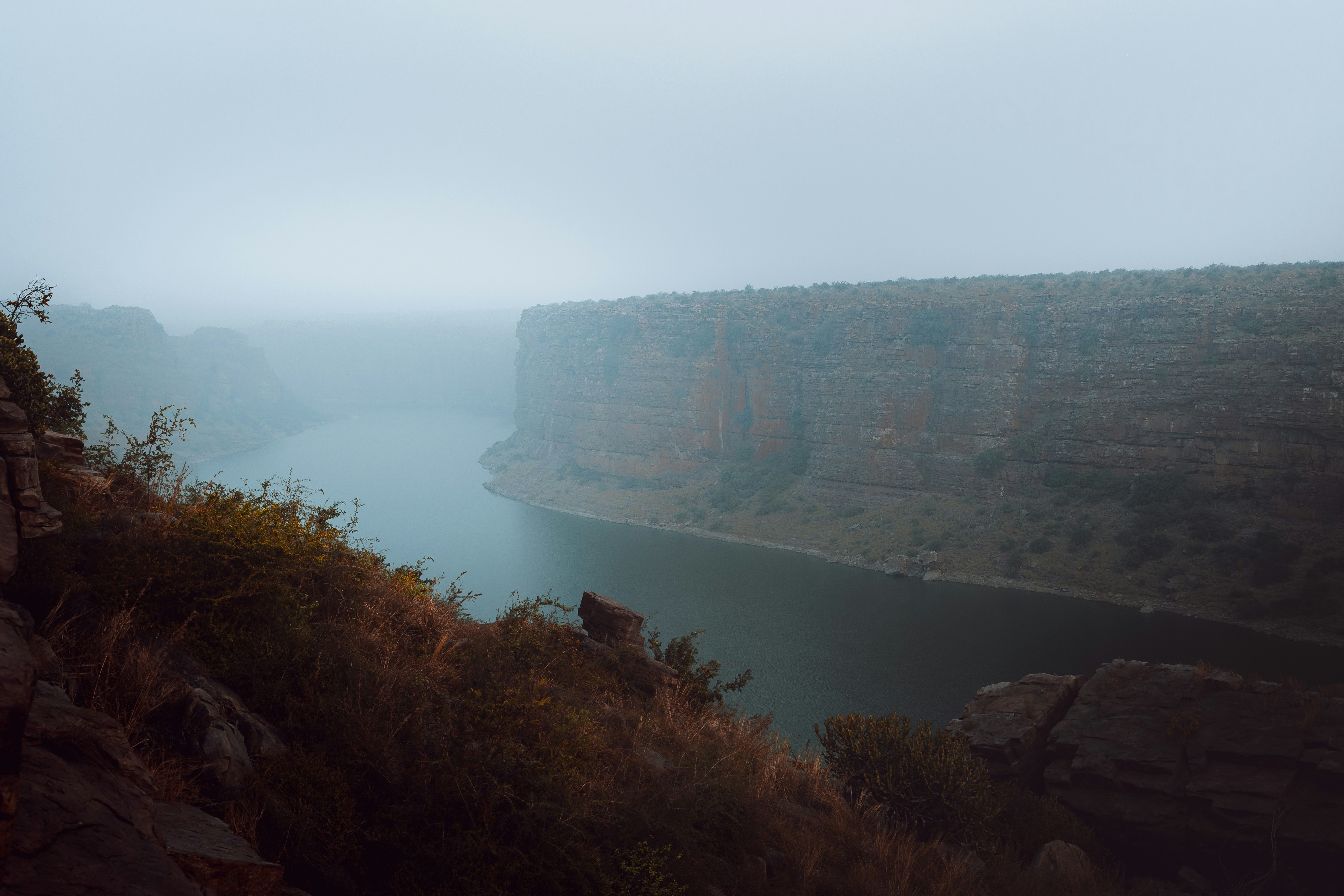 a cow standing on the edge of a cliff overlooking a body of water