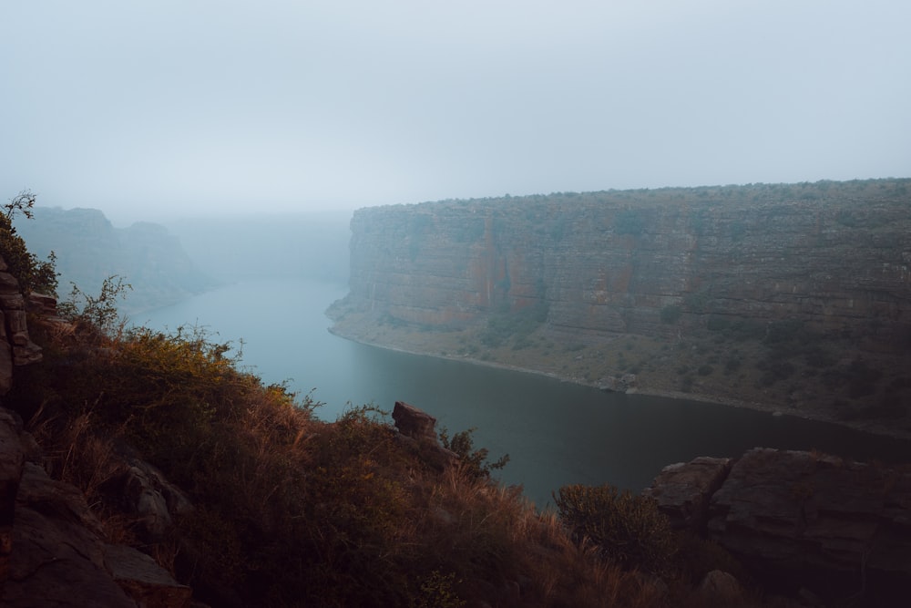 a cow standing on the edge of a cliff overlooking a body of water