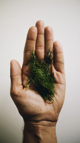 Close-up of a hand holding fresh herbs and colorful fruits, symbolizing holistic nutrition.