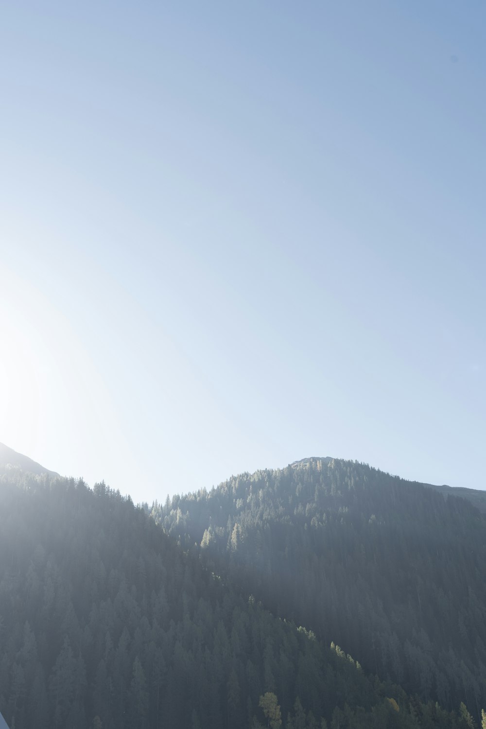 a view of a mountain with trees in the background