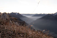 A peaceful yoga session at dawn overlooking a misty mountain landscape.