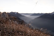 Blurry high-art background of a serene mountain landscape at dawn.
