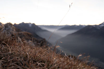 A serene mountain landscape at dawn with mist rolling over the peaks.