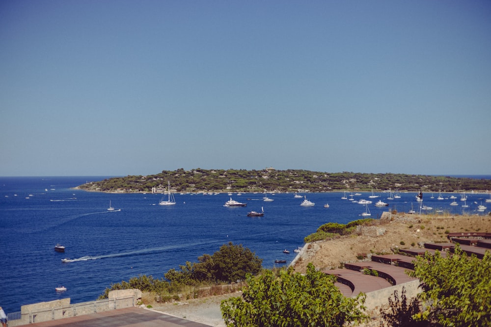 a body of water filled with lots of boats