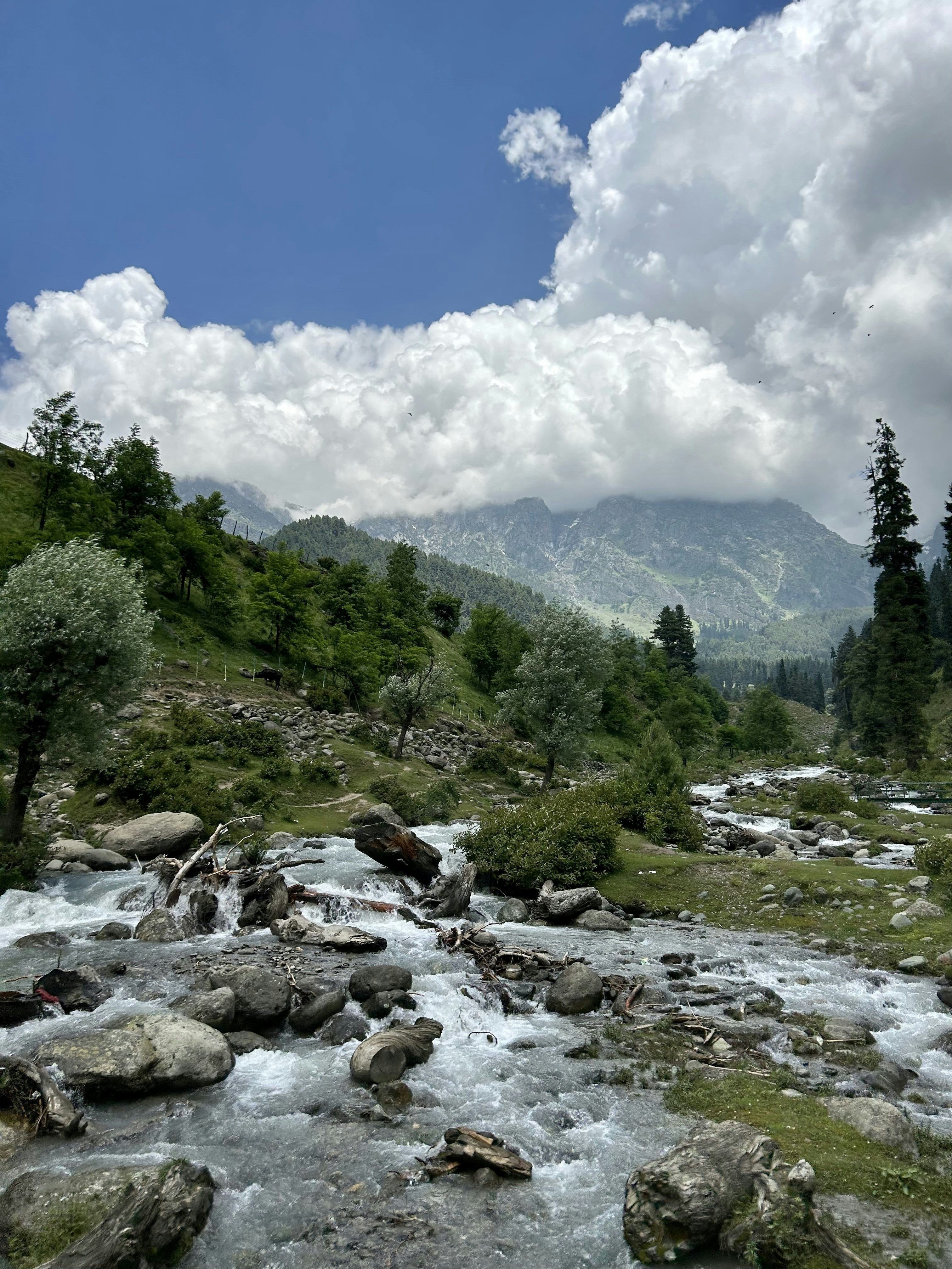 Kashmir Valley Retreat