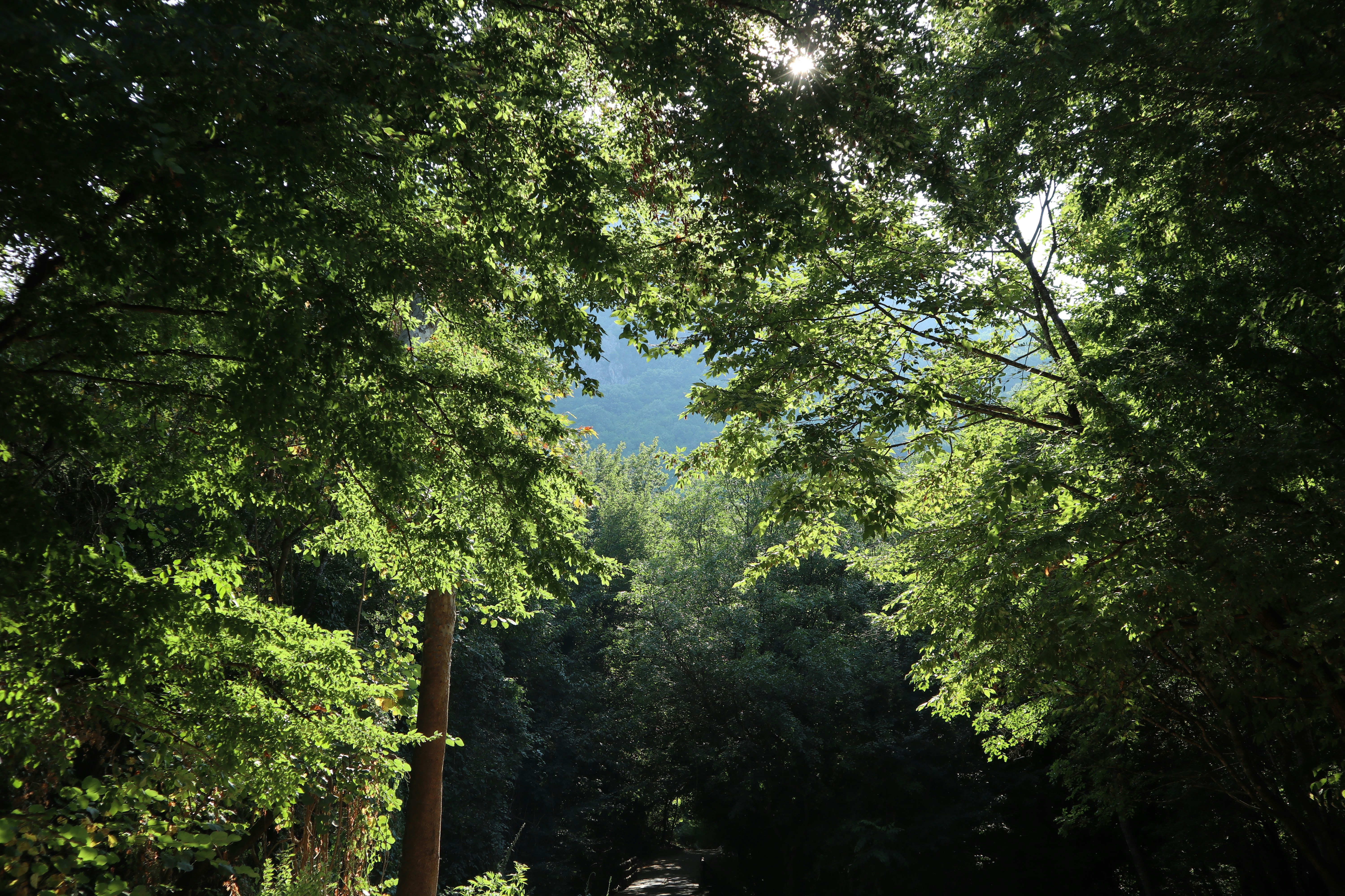 Book Your Consultation