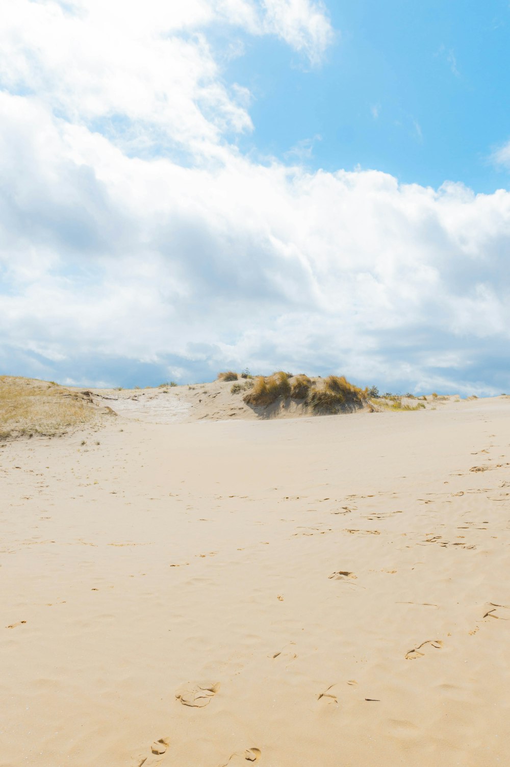 a person walking on a beach carrying a surfboard