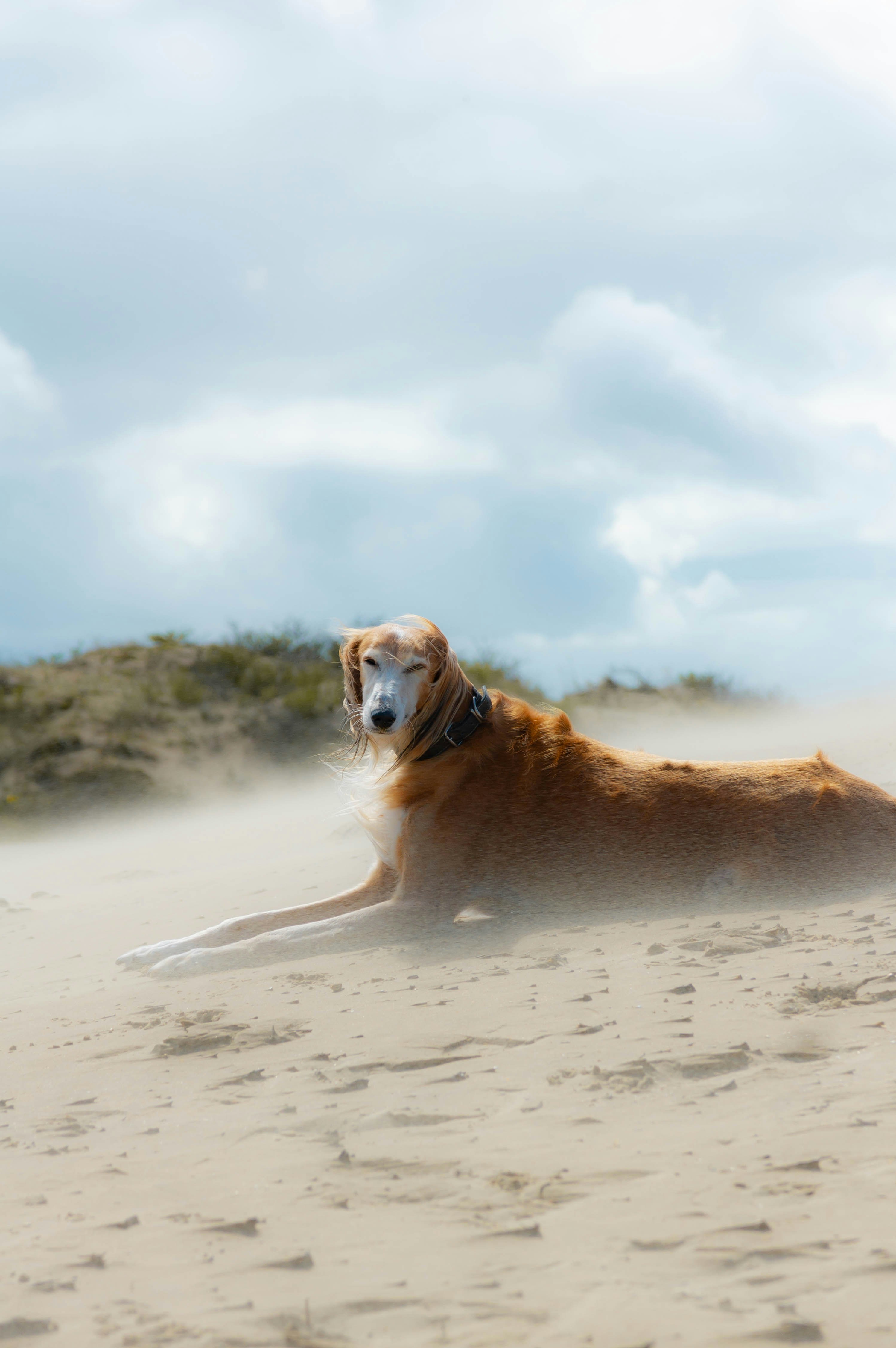 Photo by geikeverniers