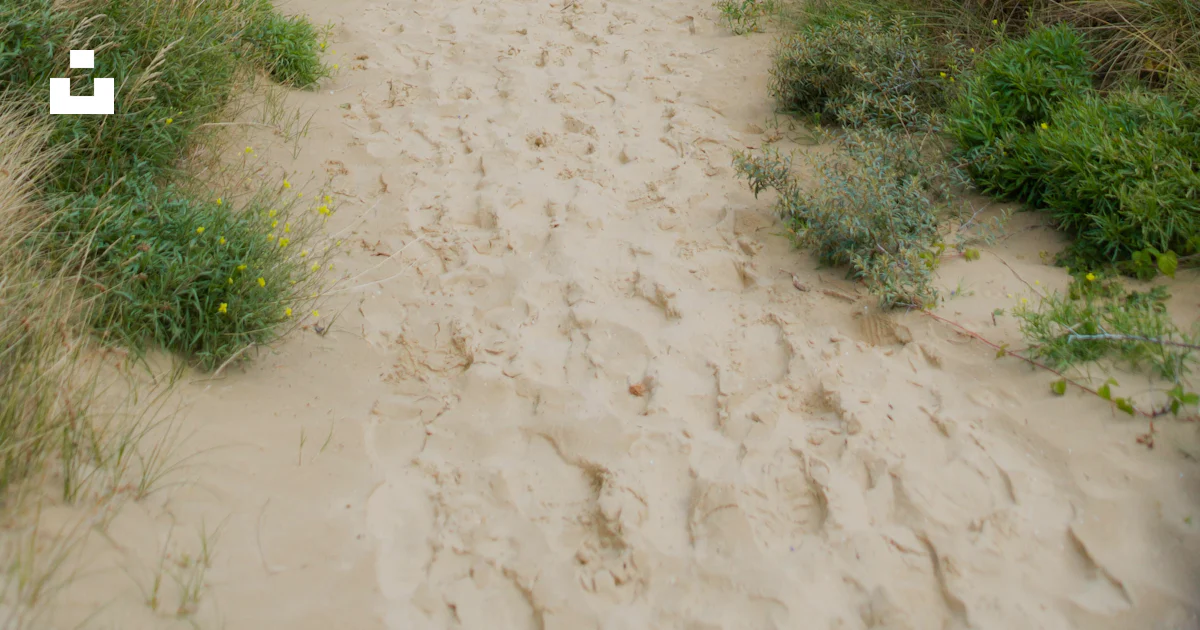 Sandy Path Map A sandy path in the middle of a grassy area photo – Free Wallpaper 4k ...