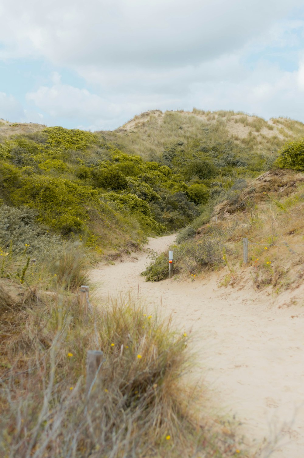 a dirt path in the middle of a grassy area