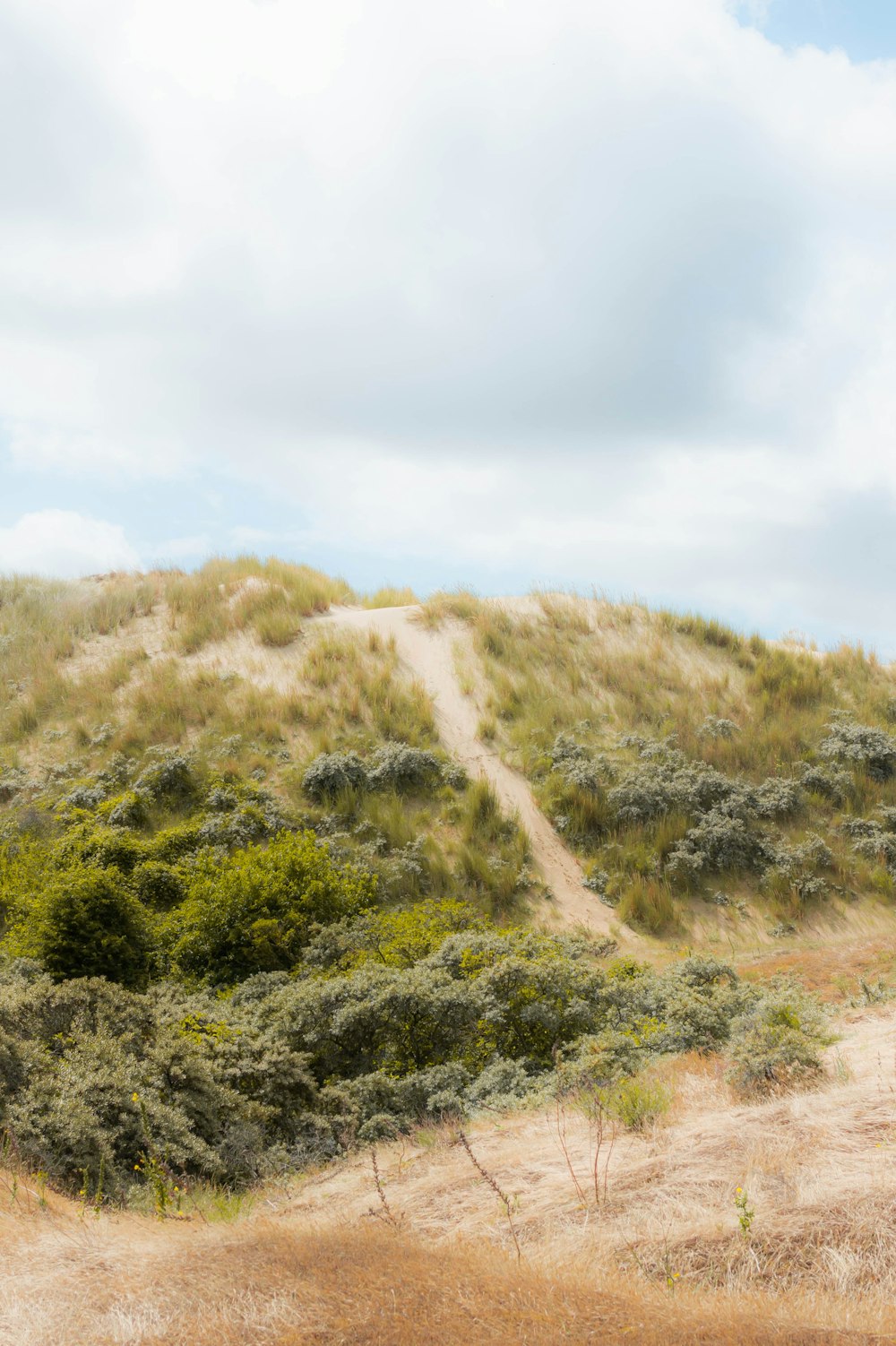 a hill covered in grass and bushes under a cloudy sky