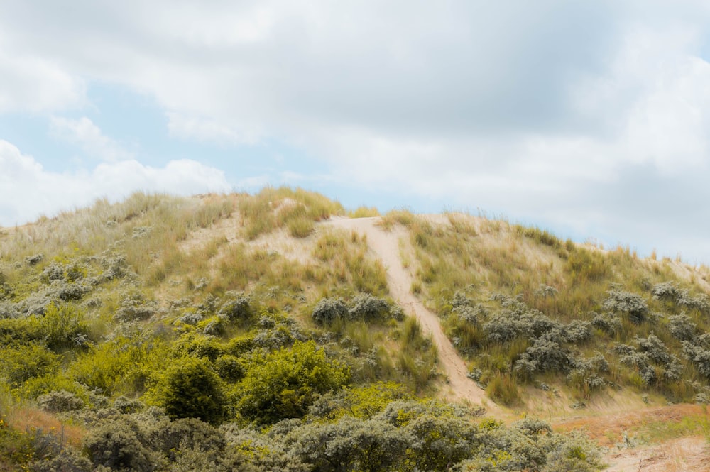 a grassy hill with a dirt road going up it