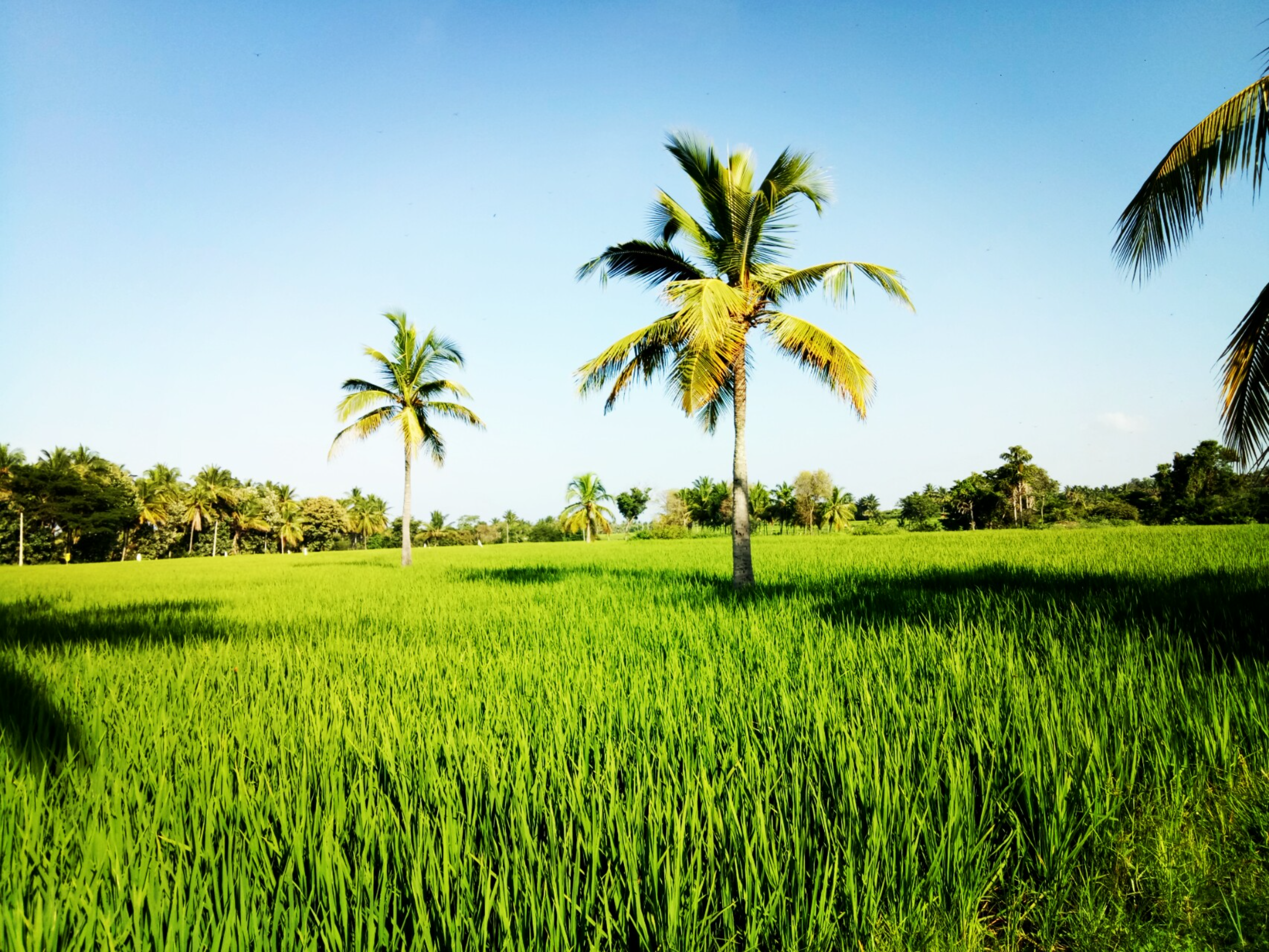 Photo by abhishek_2909