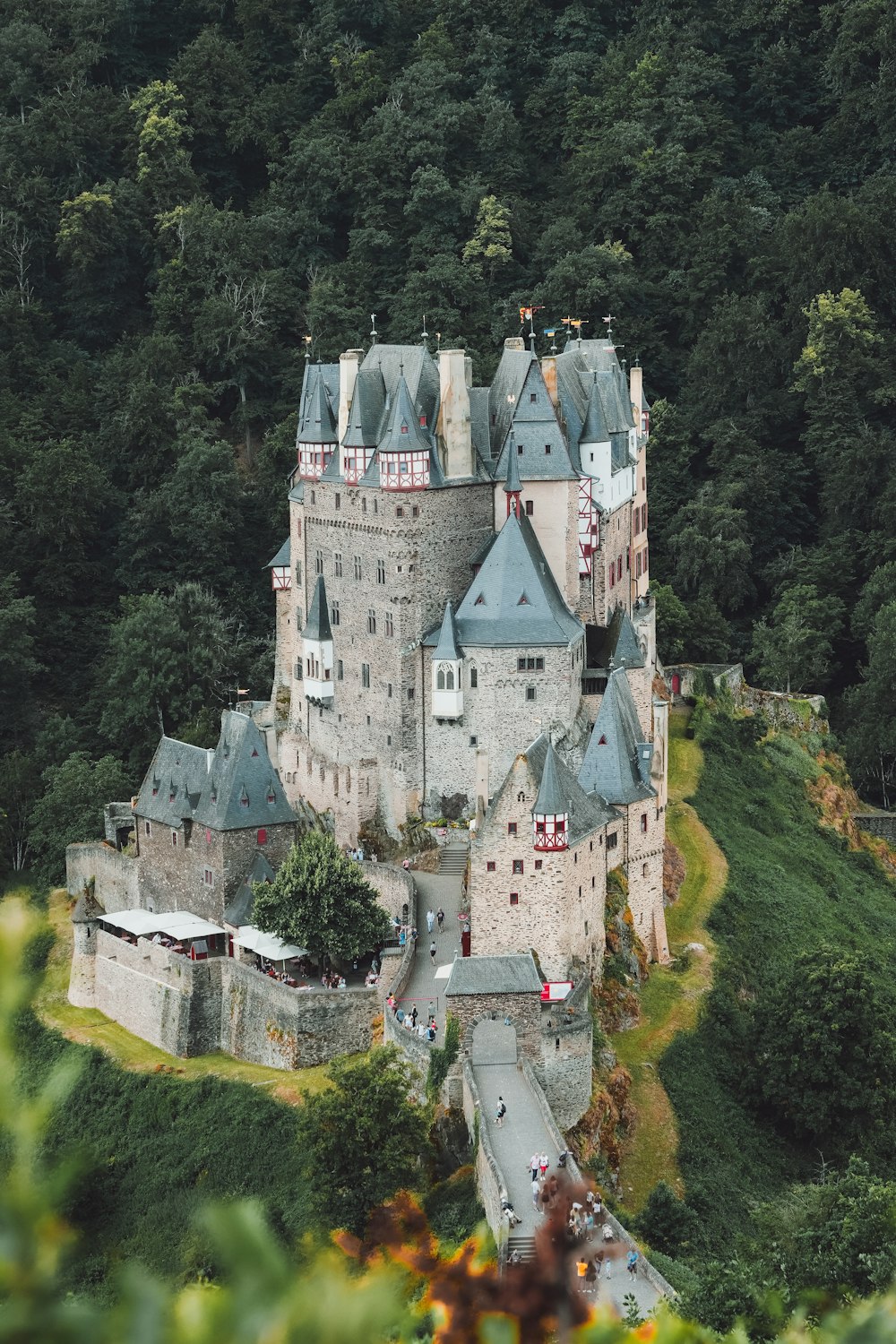 an aerial view of a castle surrounded by trees