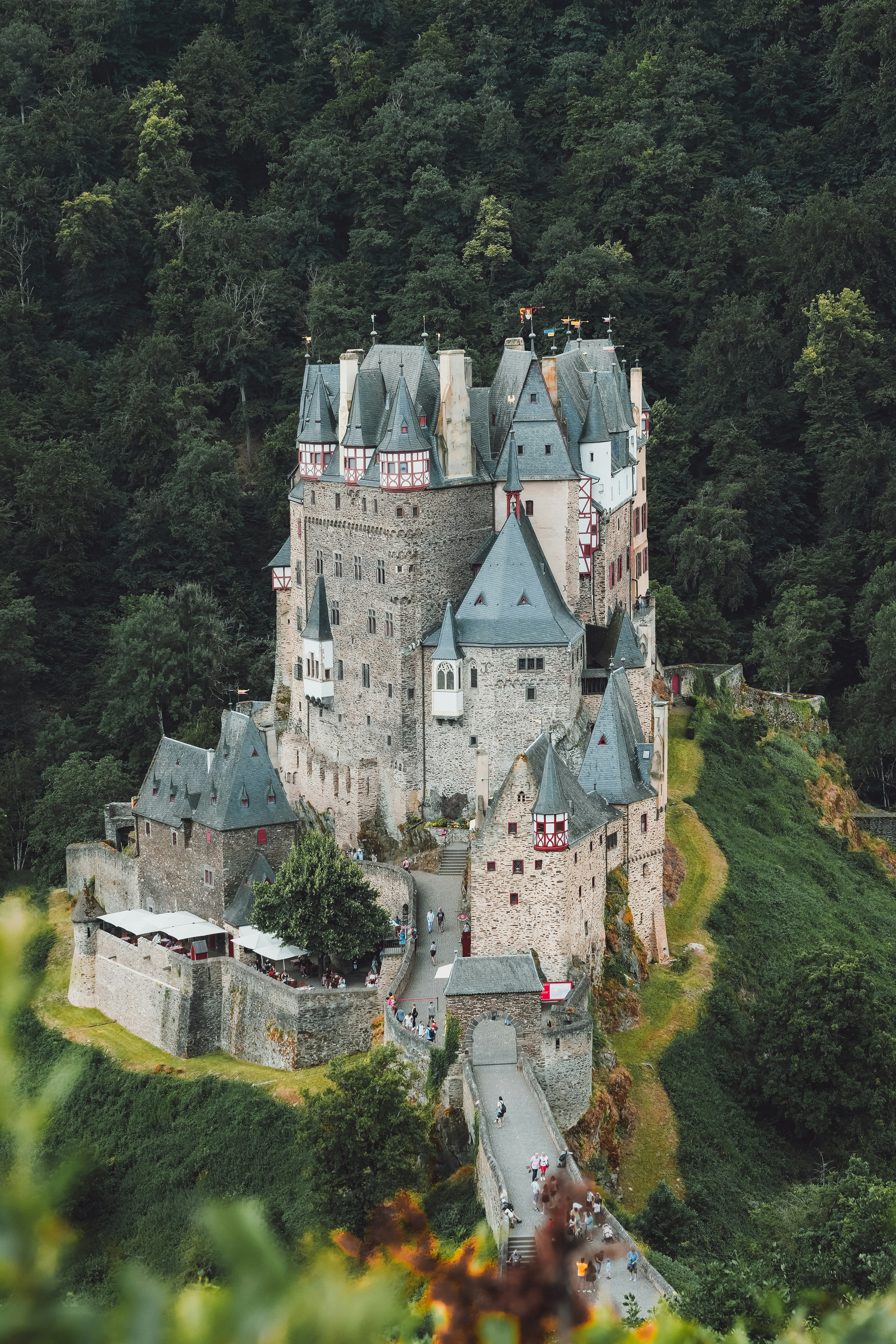 an aerial view of a castle surrounded by trees