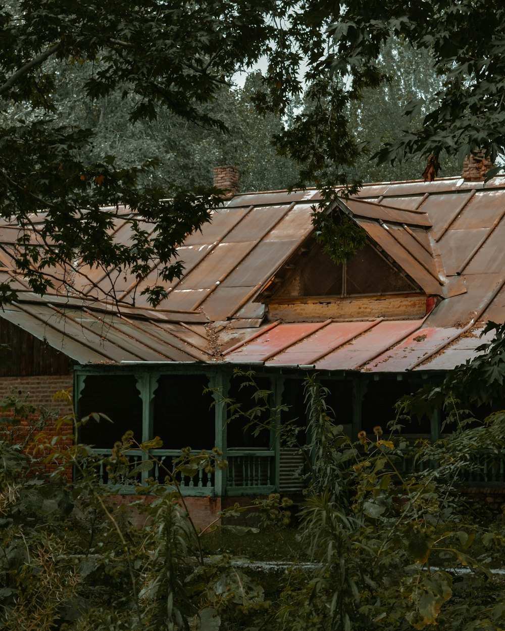 a house with a metal roof surrounded by trees