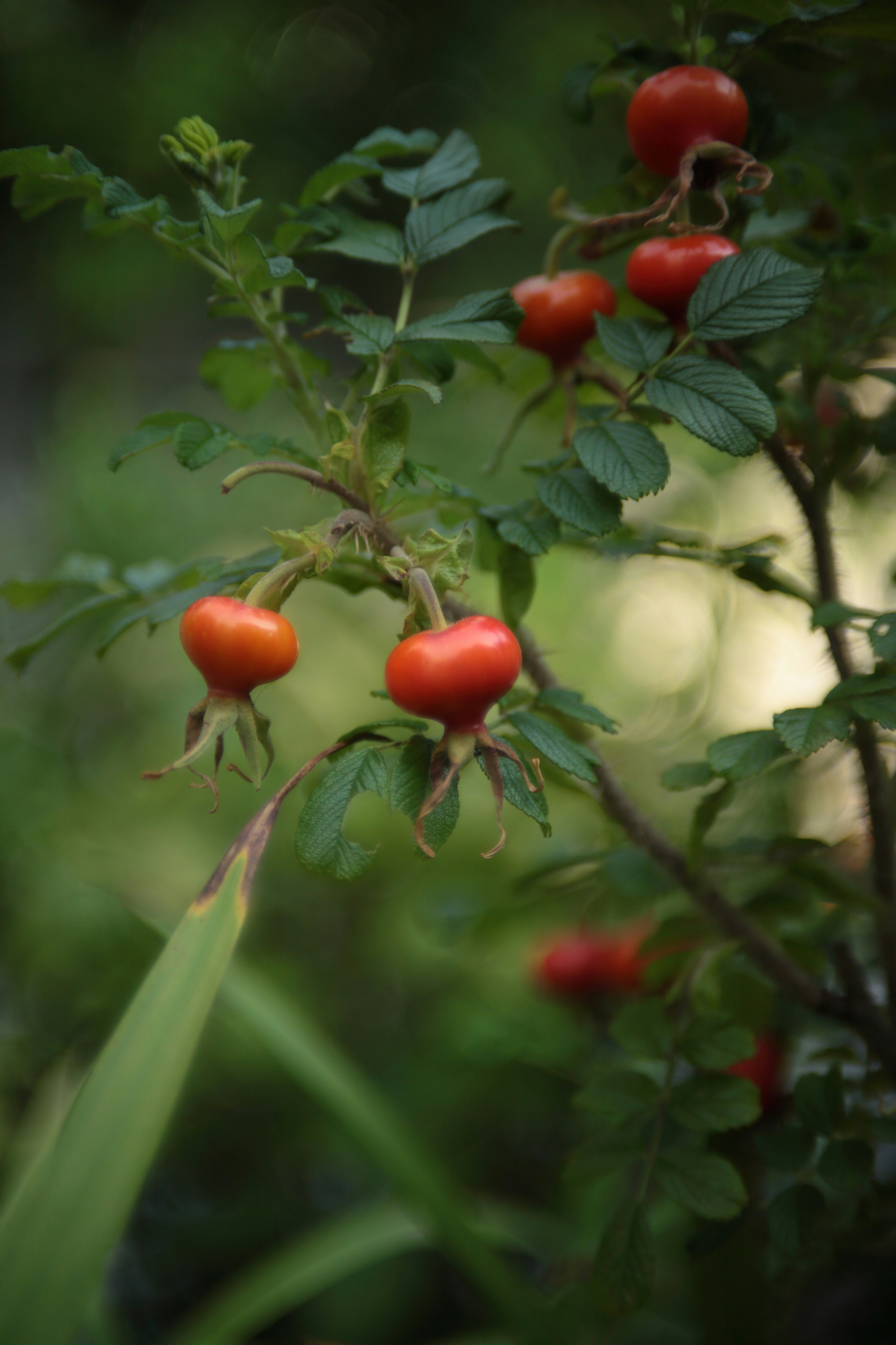 Photo by takatsuchida