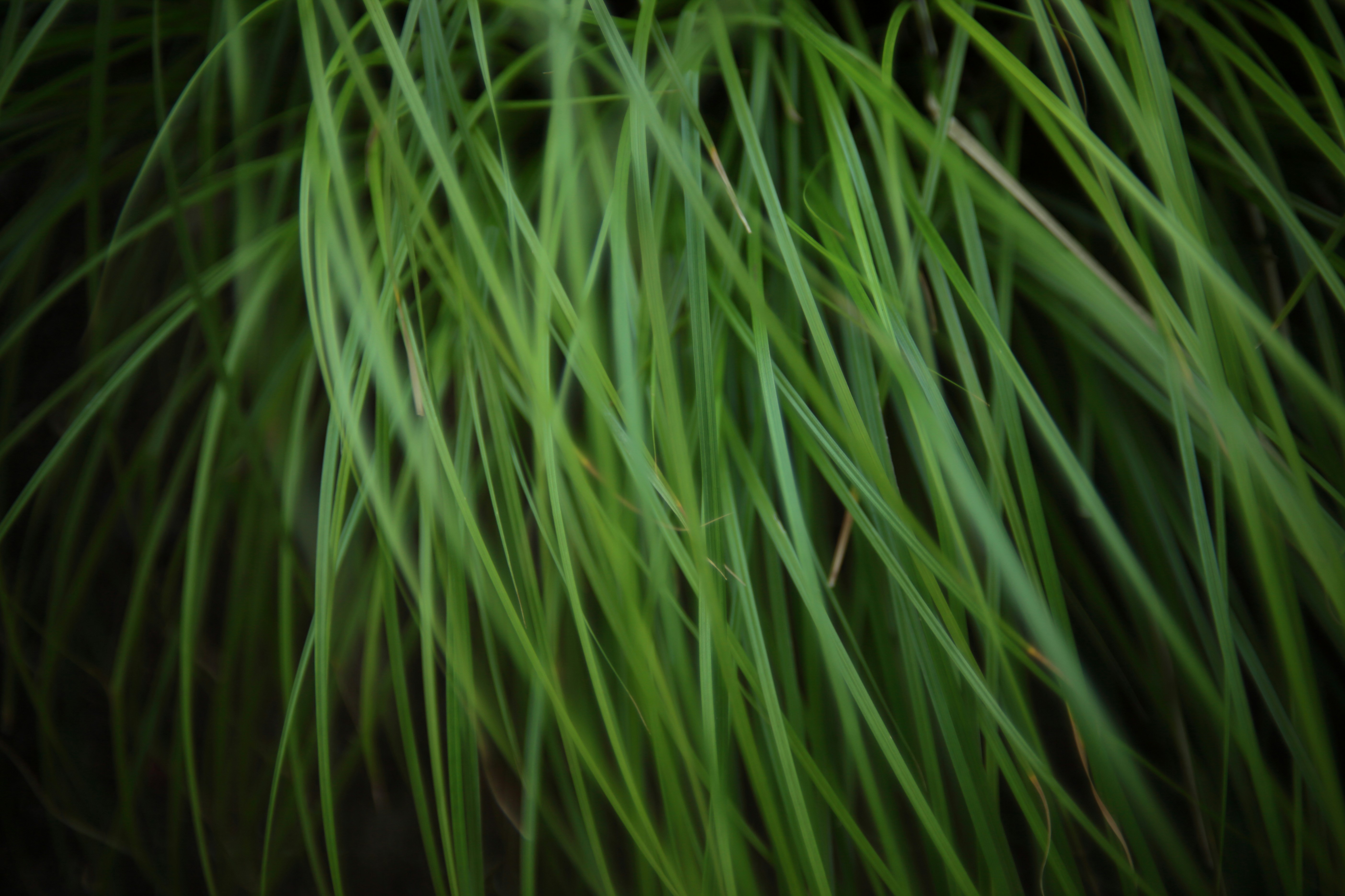 Photo by takatsuchida