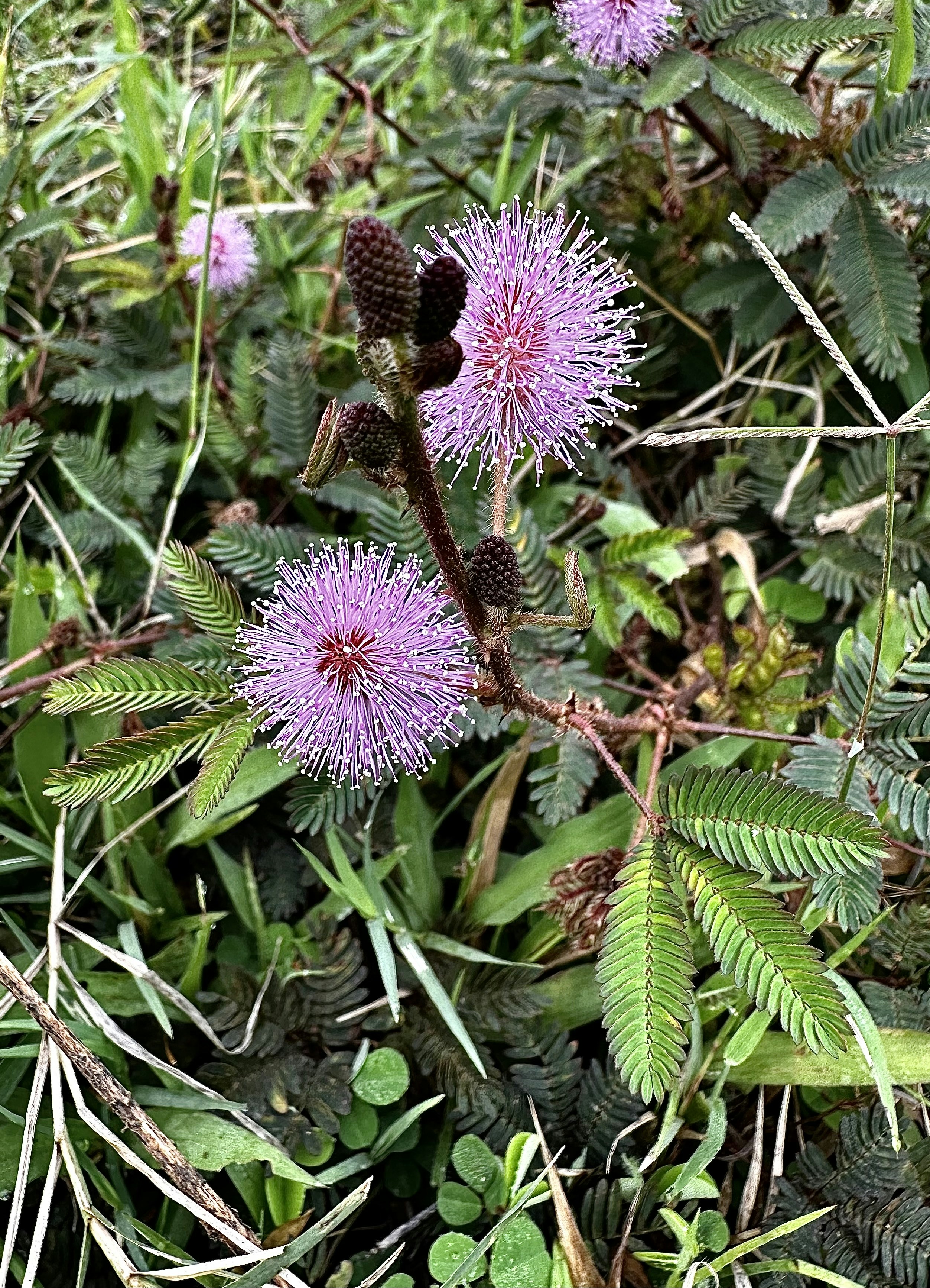 Photo by manish16051990