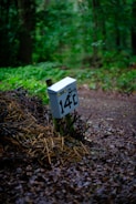A metal mailbox or post marked with '14C' is set amidst a forest scene. The surroundings include a rich green foliage and a damp, leaf-strewn forest floor. The ground is covered with a mixture of brown fallen leaves and twigs, creating a natural and earthy aesthetic.