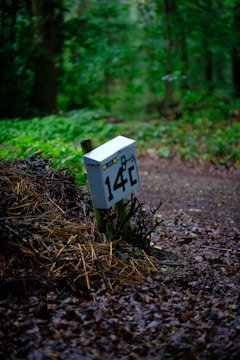 A metal mailbox or post marked with '14C' is set amidst a forest scene. The surroundings include a rich green foliage and a damp, leaf-strewn forest floor. The ground is covered with a mixture of brown fallen leaves and twigs, creating a natural and earthy aesthetic.