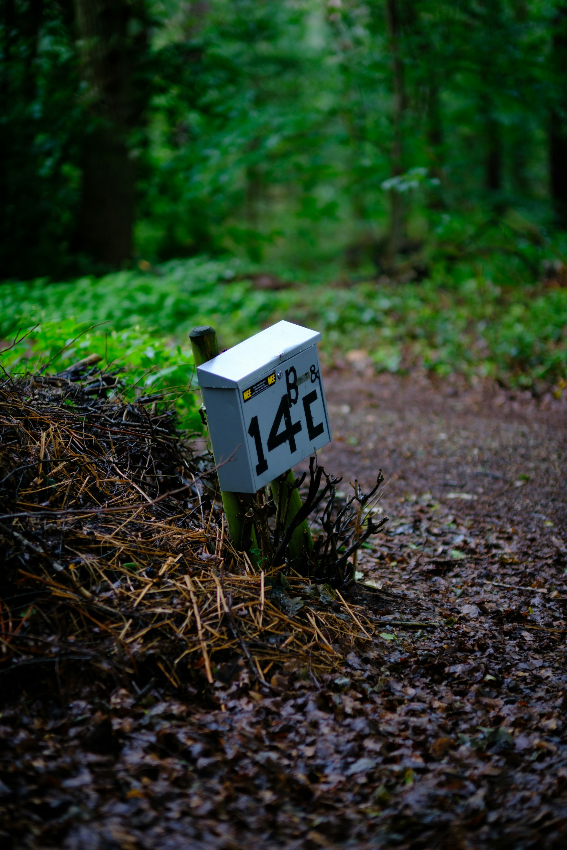 gray computer monitor