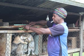 A person is tending to an animal cage, tying something with green string. The person is wearing a colorful striped beanie and a blue-black shirt, with a cigarette in their mouth. The cage contains rabbits, and there is a light bulb hanging from the roof of the wooden structure.