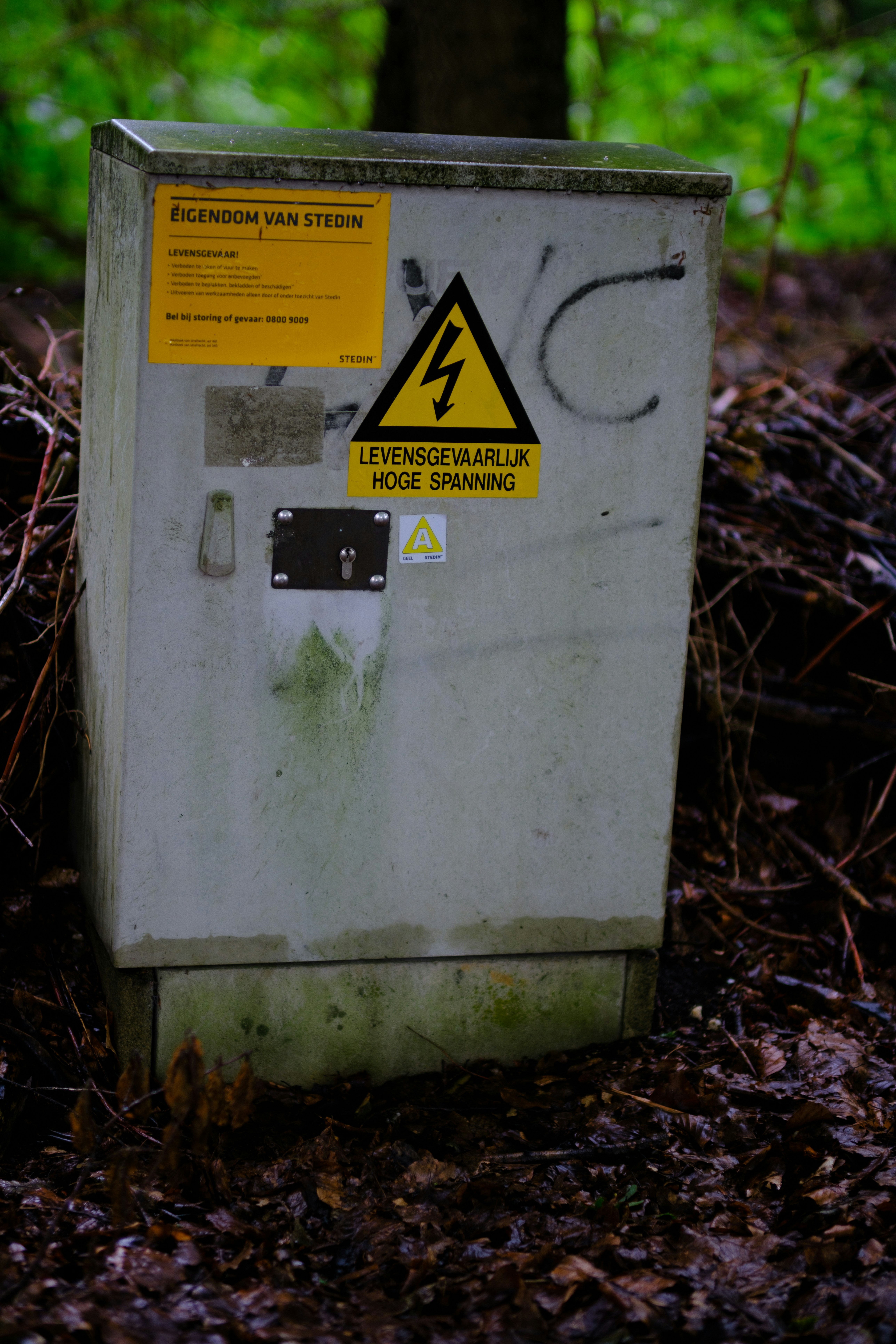 a white box sitting in the middle of a forest