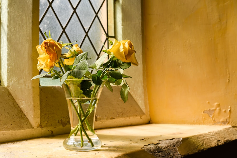 a vase filled with yellow roses sitting on a window sill