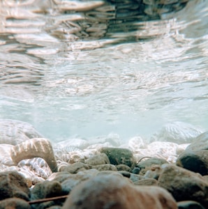 Submersible Pump