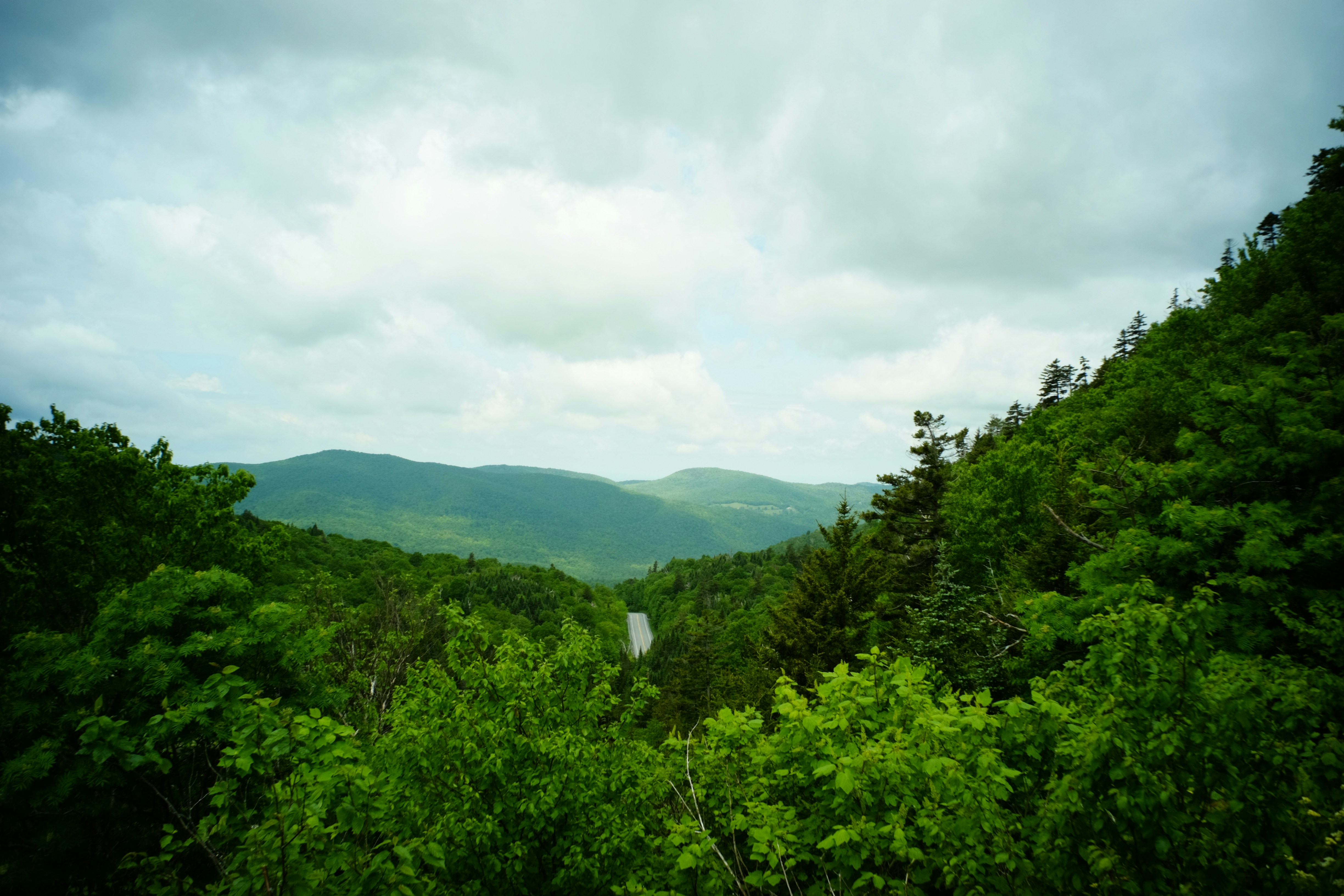 Photo by jhudsongraves