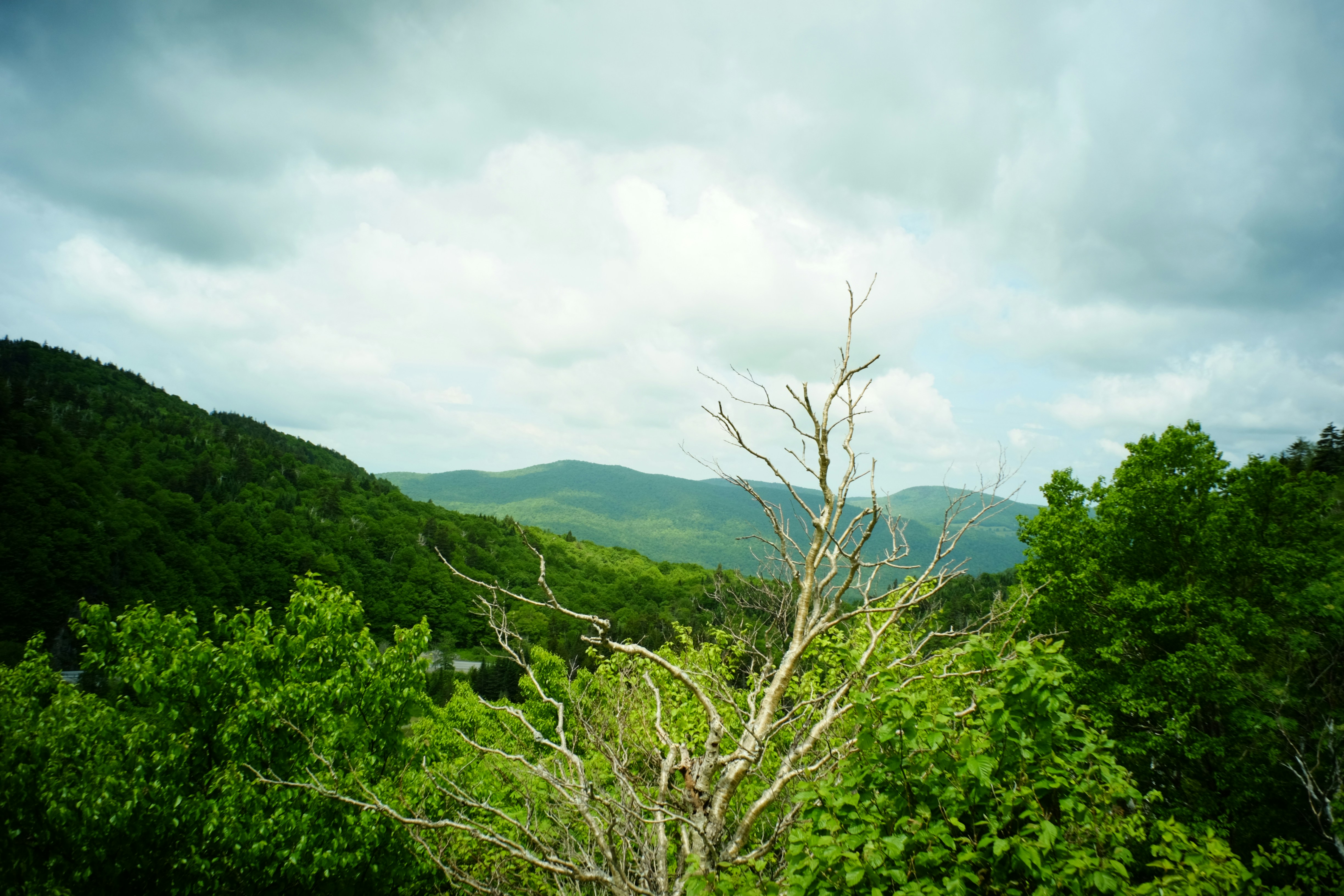 Photo by jhudsongraves