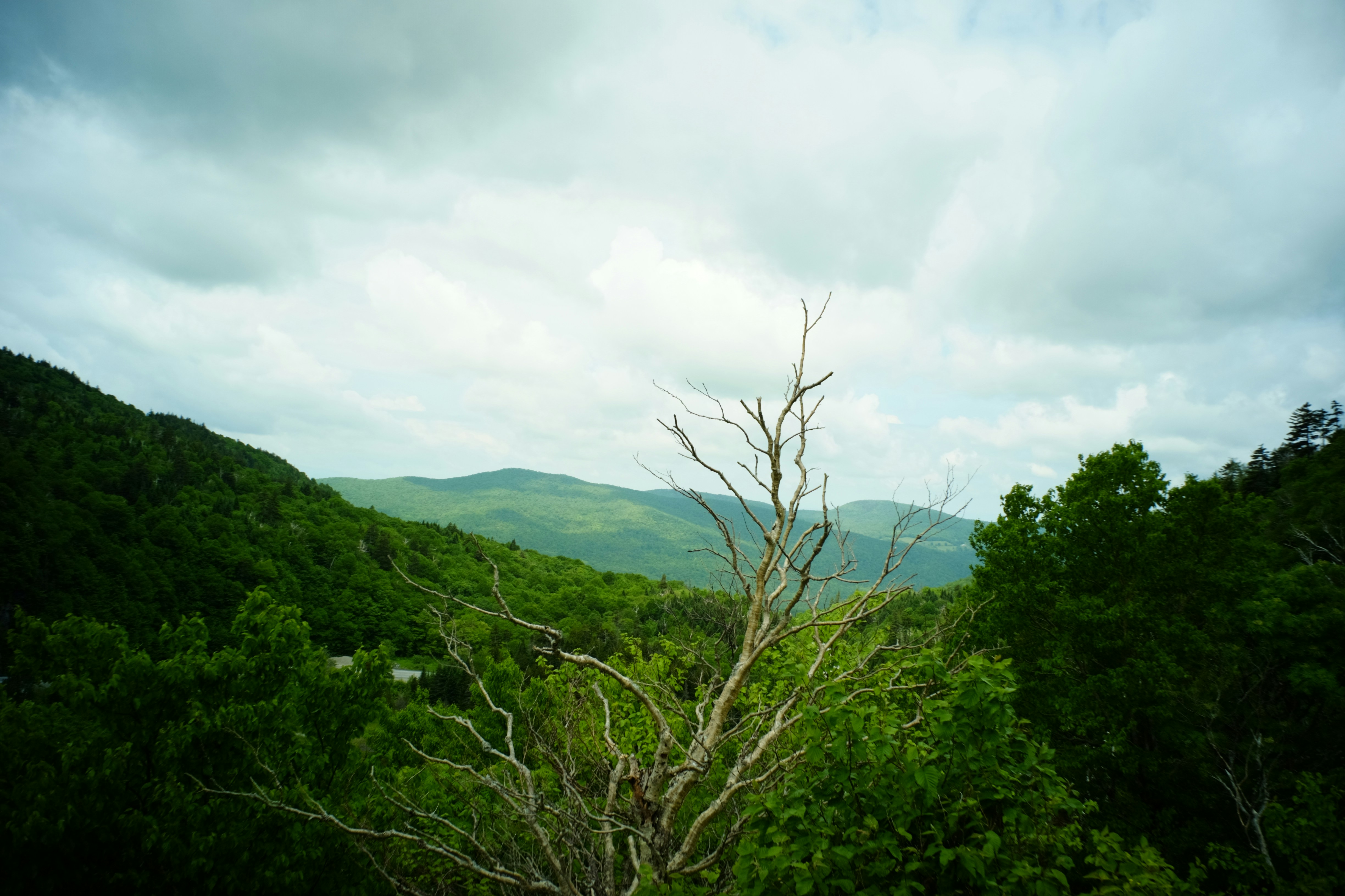 Photo by jhudsongraves