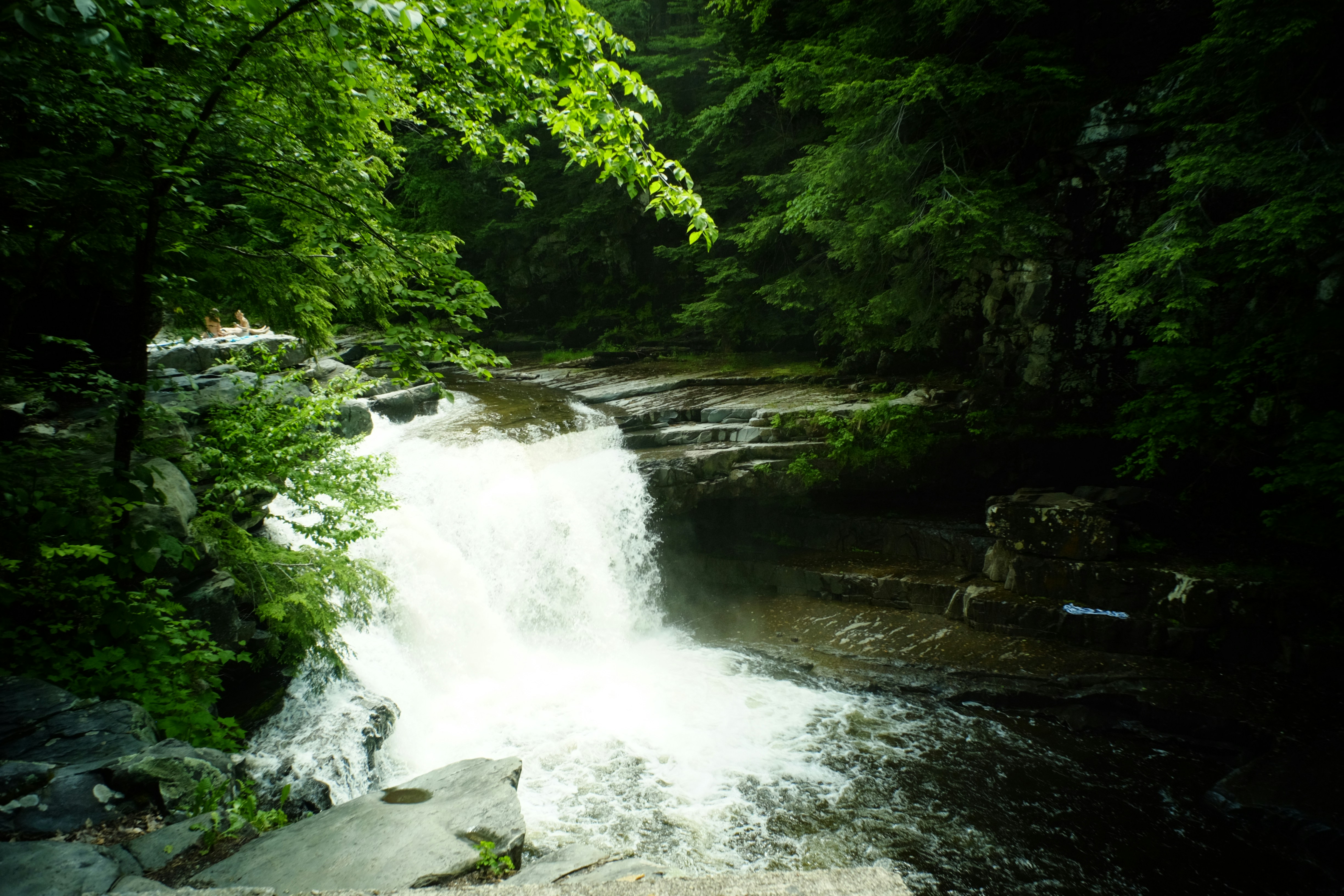 Photo by jhudsongraves