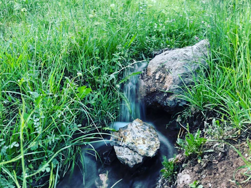 A peaceful outdoor scene showing water gently flowing from a žalias srautas pump into a natural irrigation system.