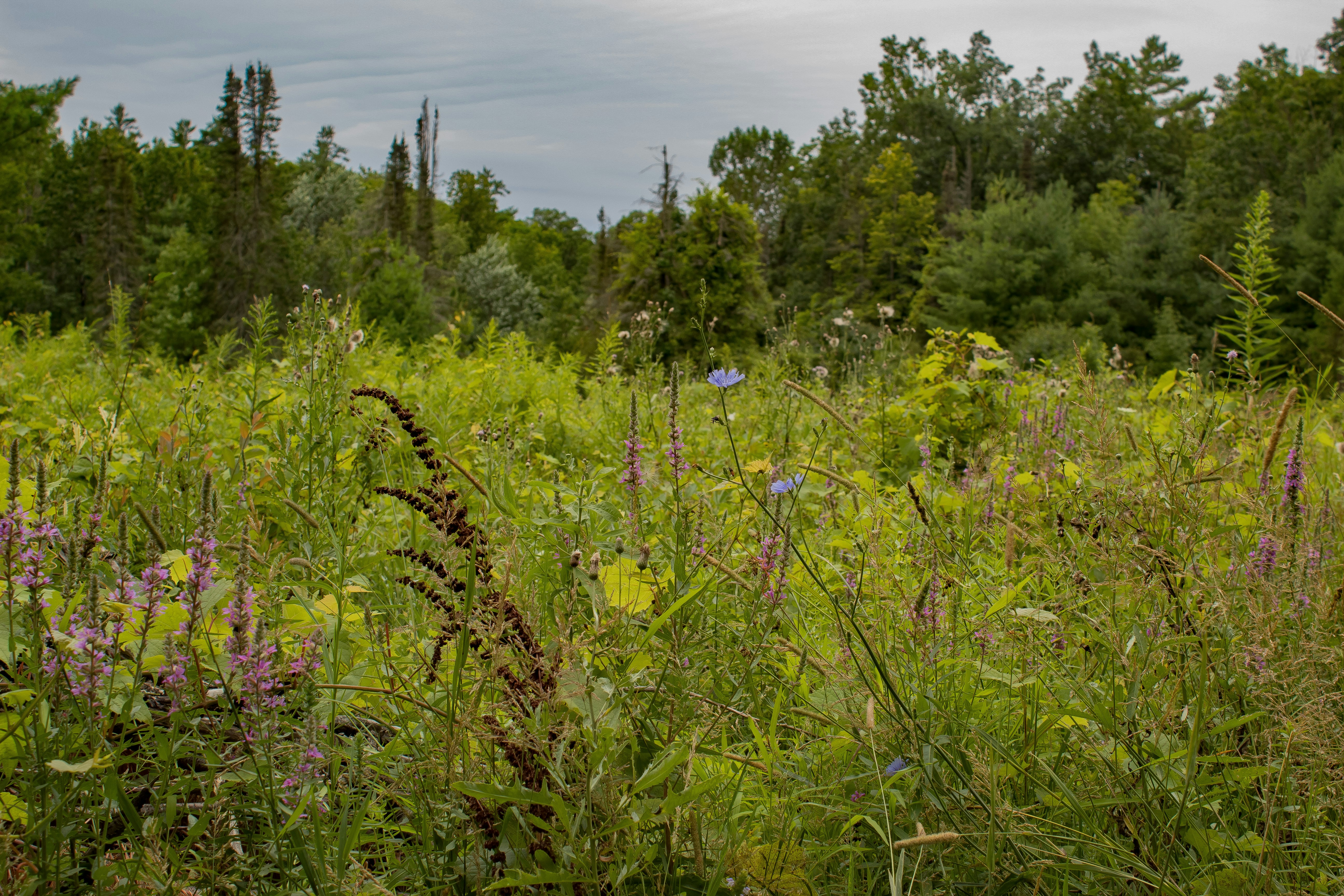 Photo by astro_lex18