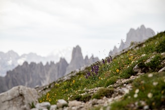 A beautiful landscape representing the region we serve.