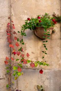 A cozy patio wall adorned with verdelis wall planters overflowing with colorful blossoms.