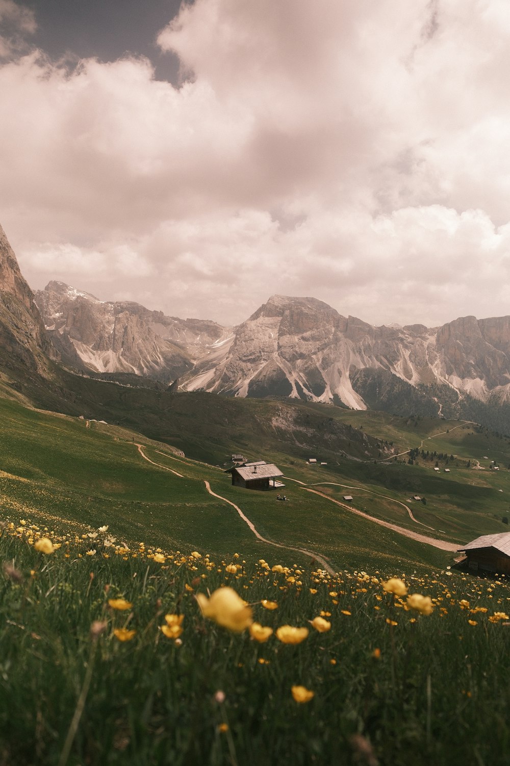 a grassy field with yellow flowers in the foreground and mountains in the background