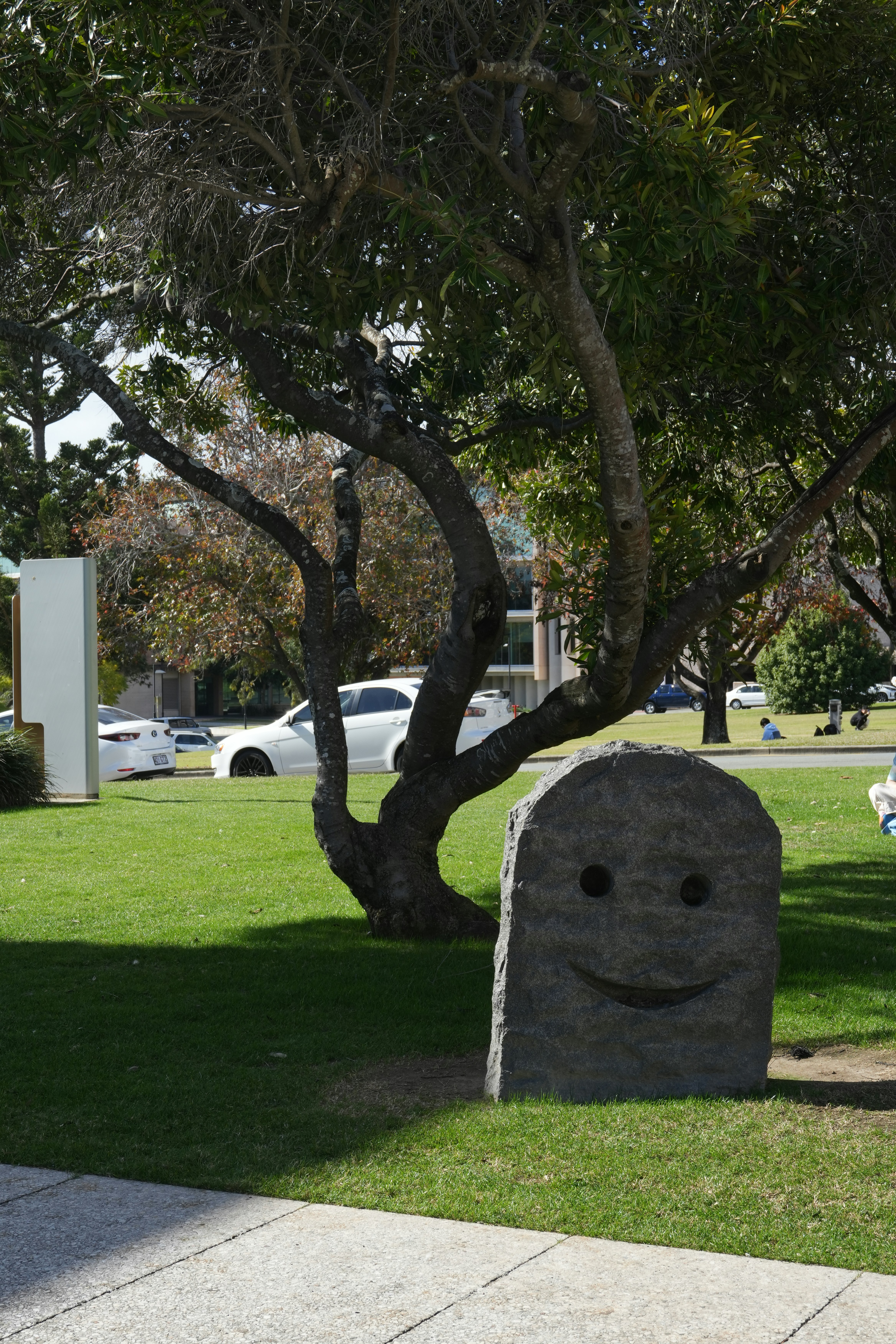 a large rock sitting in the middle of a park