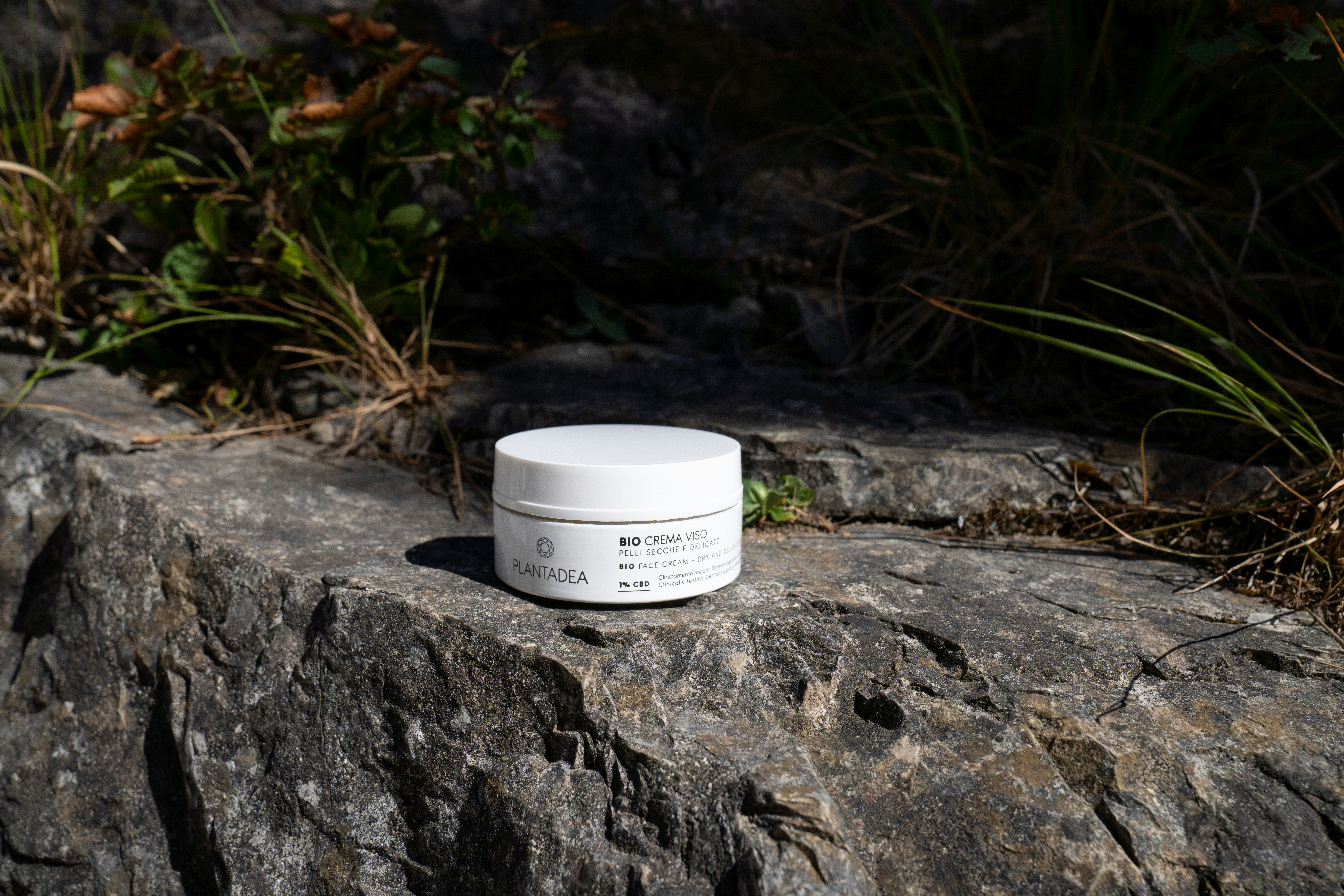 A white container labeled 'Plantadea Bio Crema Viso' sits on a rugged, sunlit rock surface surrounded by small patches of green foliage and dried grass. The scene conveys a sense of natural beauty and simplicity.