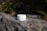 A white container labeled 'Plantadea Bio Crema Viso' sits on a rugged, sunlit rock surface surrounded by small patches of green foliage and dried grass. The scene conveys a sense of natural beauty and simplicity.