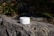A white container labeled 'Plantadea Bio Crema Viso' sits on a rugged, sunlit rock surface surrounded by small patches of green foliage and dried grass. The scene conveys a sense of natural beauty and simplicity.