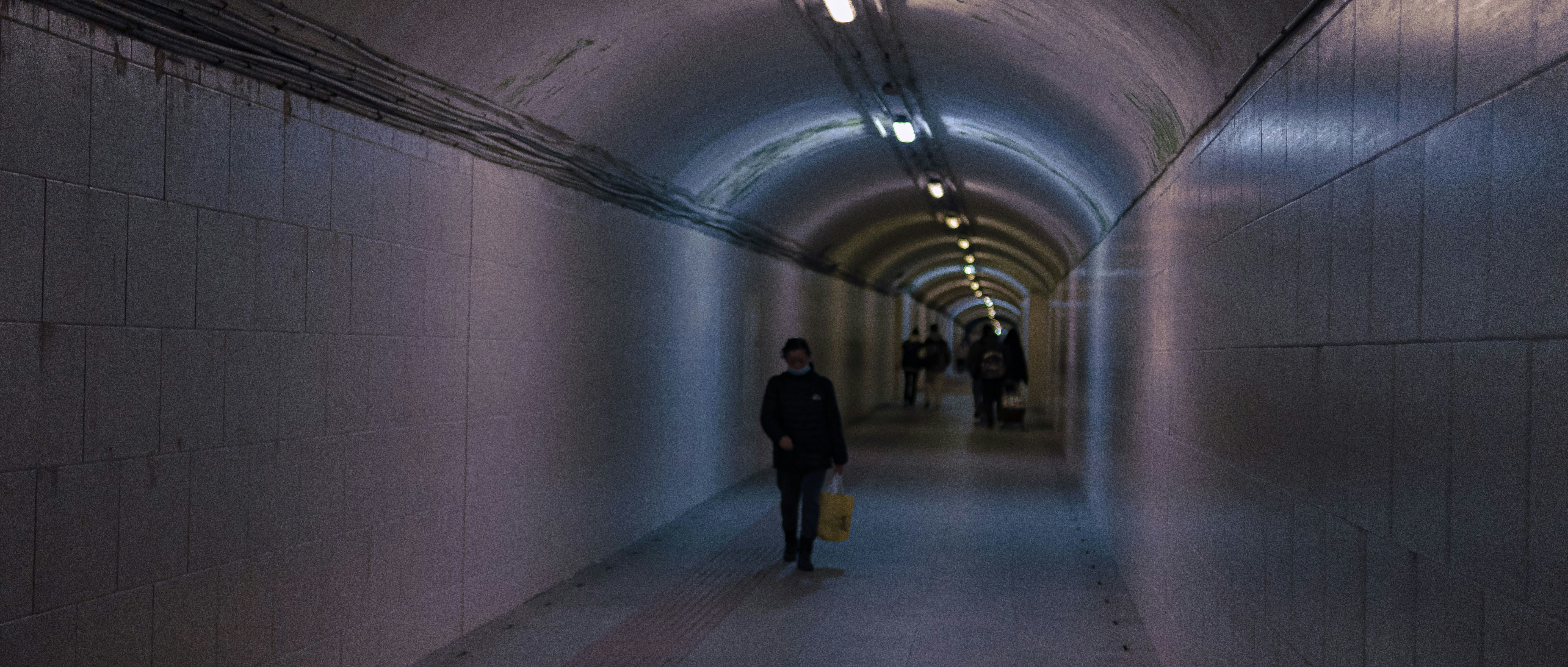 Photo by yokonoito0512