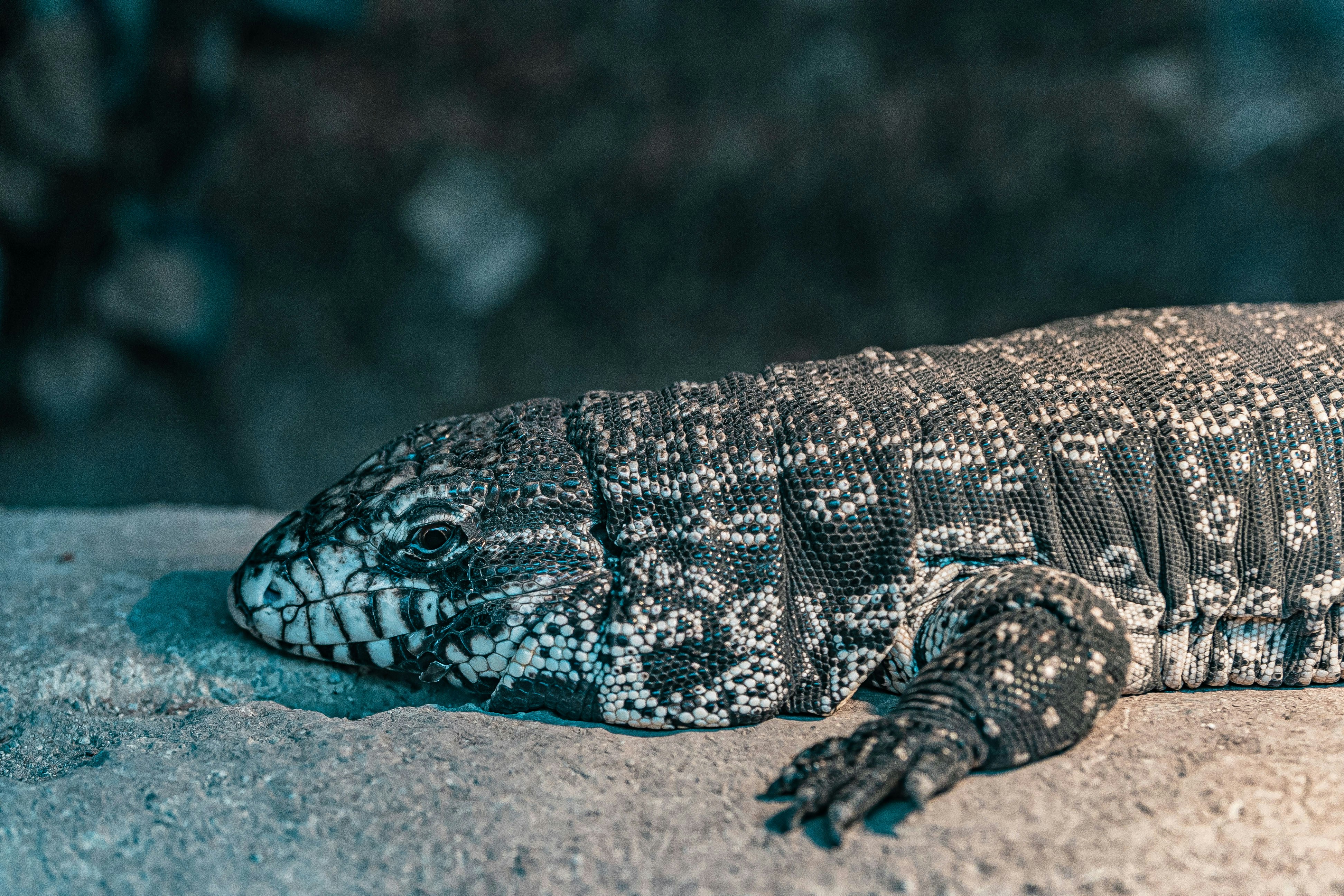 Photo by yokonoito0512