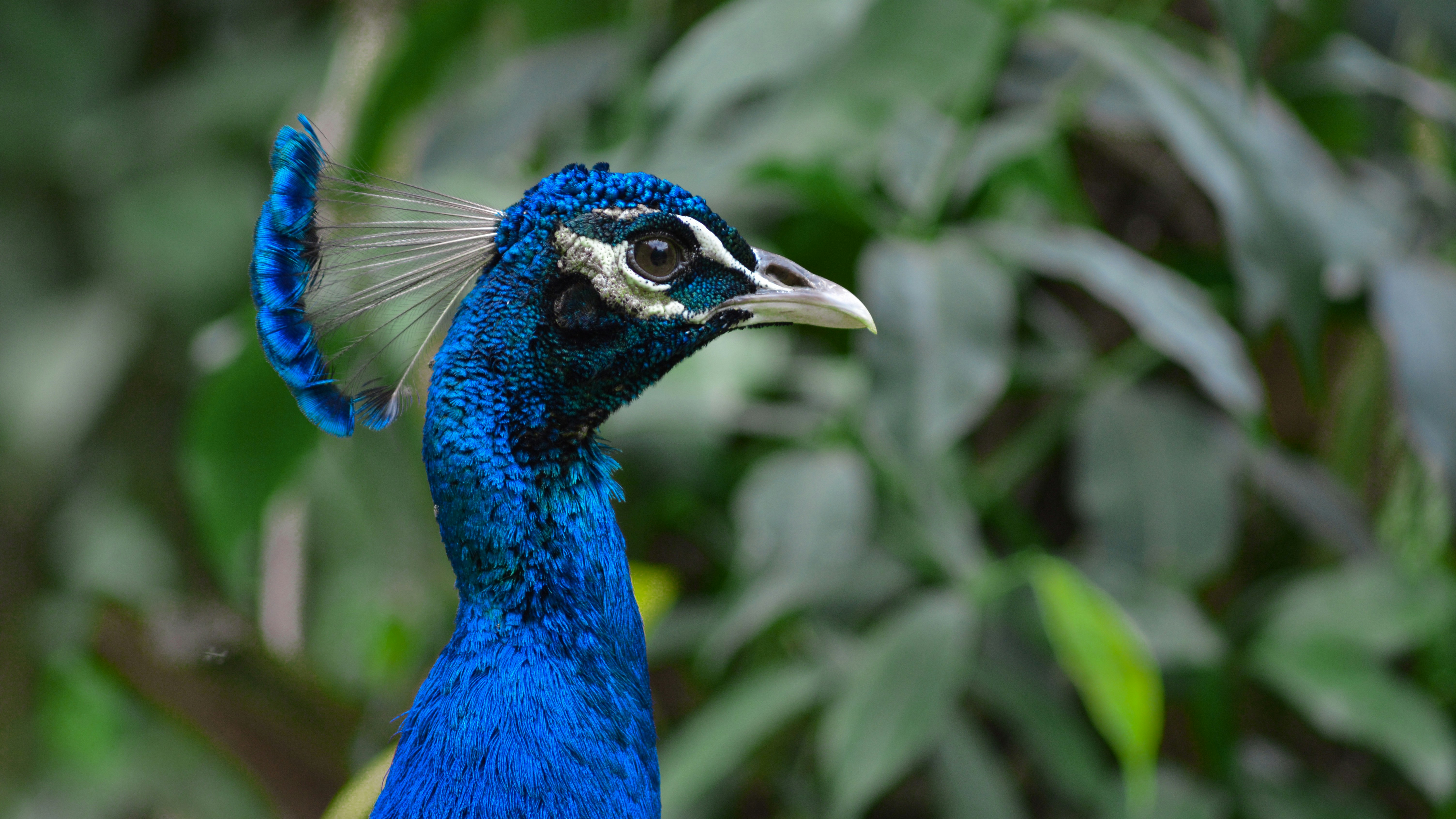 Photo by yannick_apollon