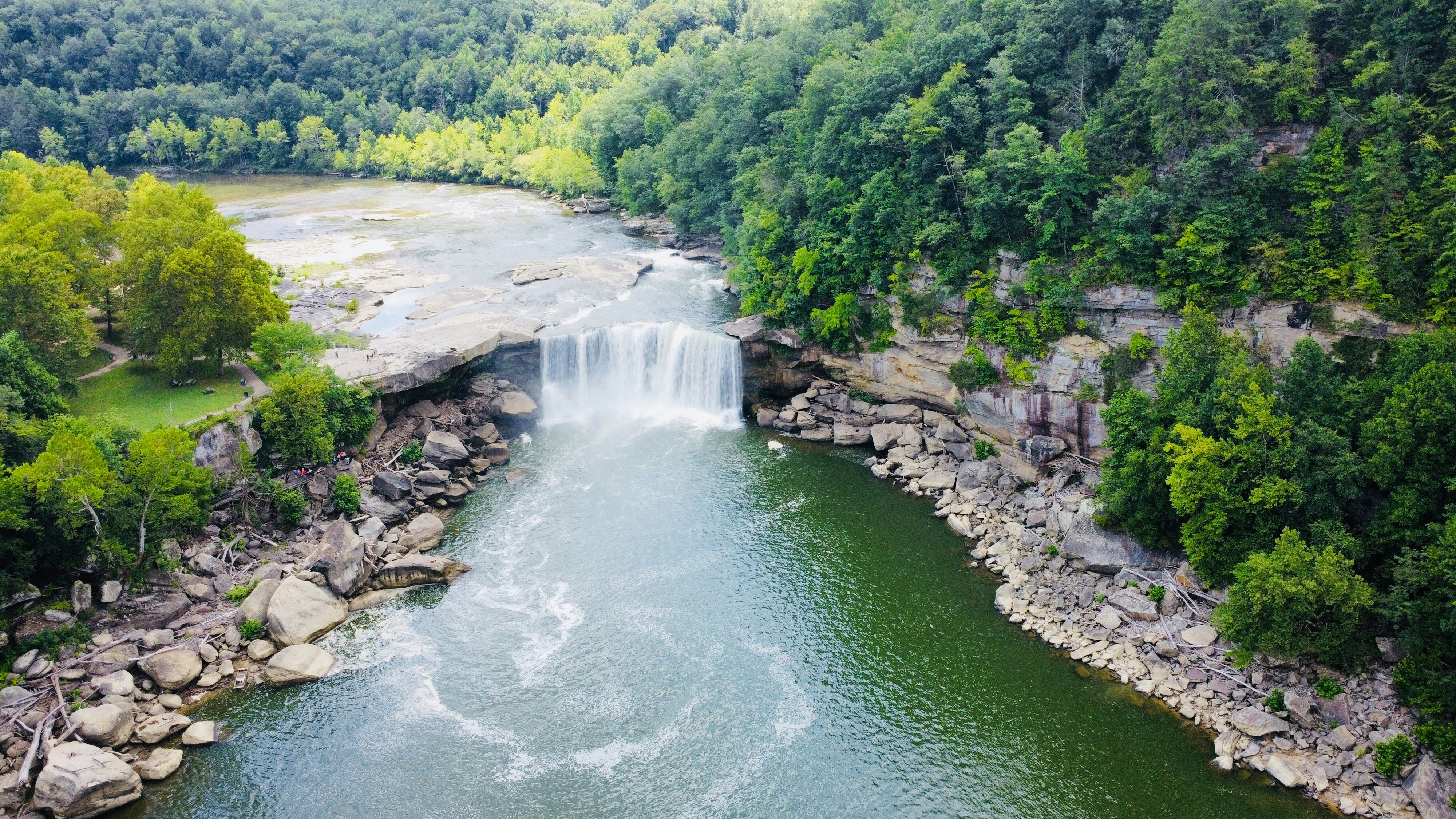 Mięso, zdrowie i iluzja „dietetycznej mody” - Michał Tombak