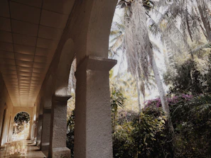 Sunlit Moroccan garden with sculpted greenery and minimalist stone pathways.
