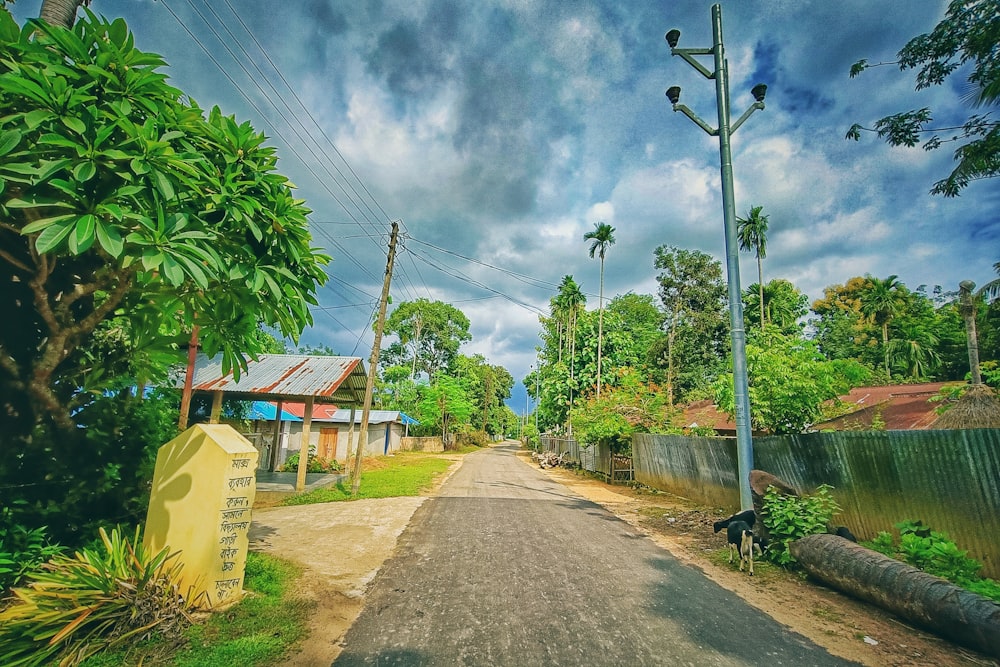 a dirt road with houses and trees in the background